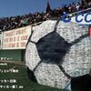 フリーペーパーCOPA vol.3配布中〜