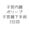 子宮鏡下手術体験記　3日目