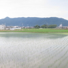 香川県にも水があります。