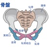 身体の使い方シリーズその202坐骨を意識する力の連動を骨盤から坐骨に集約させて精度を上げましょう‼︎坐骨を使って腰椎・骨盤の動きに繋がり腰痛予防に効果的な方法もご紹介致します！