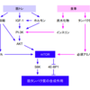 筋トレとアルコールの残酷な真実（続編）