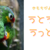 どこが好き