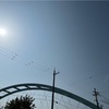 日曜ランナー　〜快晴ラン〜