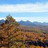 【登山にも使えそうな特約保険】遭難しないための準備（山菜採りの持ち物）