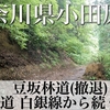 【動画】神奈川県小田原市 豆板林道(白銀林道から続く道/撤退)