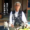 深川栄洋監督『先生と迷い猫』を見る（10月10日）