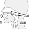 声ってどういう仕組み？