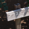 港の見える丘公園〜山下公園など