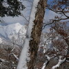 店長のひとこと「雪に向う想い・・・」