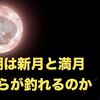 釣りにおいて満月の大潮は釣れない？新月と満月の大潮の違い