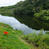 小野の池（静岡県浜松）