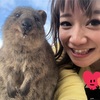 世界一幸せな動物クォッカに会いにこう！in Australia