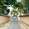 朝さんぽと素晴らしいお寺⛩ 