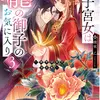 迷子宮女は龍の御子のお気に入り３ ～龍華国後宮事件帳～