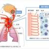 咳嗽診療について最初から最後まで