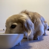 良い子たち♪♪