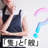 「隻」と「艘」の正しい使い分け