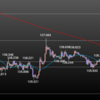 欧州時間の米ドルの見通し　中国の株価は堅調ですが