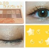 CLIO(クリオ） プロアイパレット 02Brown Choux を使ってみた