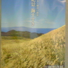 黄金と紺碧の競演　絶景　海すすき　伊豆稲取細野高原