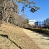 春が来た。私の体にも春が来た。