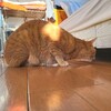 ベッドの下にひそんでいる者