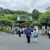 長谷寺のあじさい