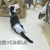 紙パンツはまさに「神」だった！すべての年代の方にお勧めしたい！
