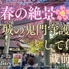 【春の絶景🌸】江戸の歴史をいまに伝える藏前神社（東京都台東区）2025/3/17
