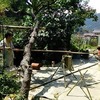 楽しみ！