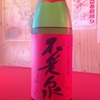 昨日入荷！日本酒三年熟成酒*\(^o^)/*