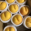 秋のフルーツ祭り