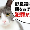 「猫の恩返し」の法則