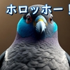 ハトの騒音【狂った鳴き声】