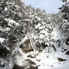 ⛄️真冬の竜頭の滝❗️