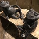 異星記録