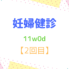 11w0d　妊婦健診【2回目】 健診直前に出血？