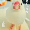 10: 文爺🕊：「おっと