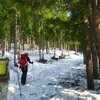 郡上市白鳥町の野伏ヶ岳（１６７４ｍ）に登る！