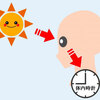 ★ヒトの体内の概日リズムの調節が大切！