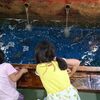 ざうおで釣り