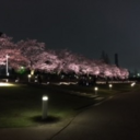 イシサン～石の上にも三年～