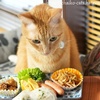 デザートとオイラ（２）