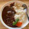 【Premium Marché BIWAKO＠長浜】実食レビュー！ヤンマーミュージアムで楽しむ「ヤンマーカレー」｜スパイス香る本格派ランチ！