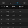 夜勤明けに強風の中ポイント練習。8km走。