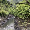 （２）糸魚川静岡構造線:山梨県早川沿い