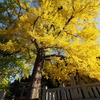 岩部八幡神社