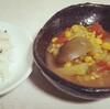 南インド、酸味のスープカレーサンバルはやはりタマリンドを効かせると美味い