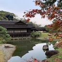 freedomchang’s blog-自分らしく生きたいうめぼしの日記