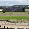 ６月１日公開予想